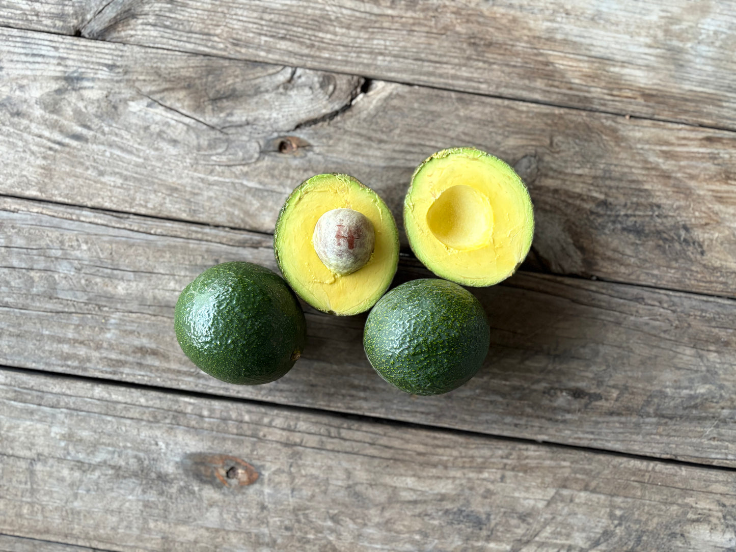 Reed Avocados