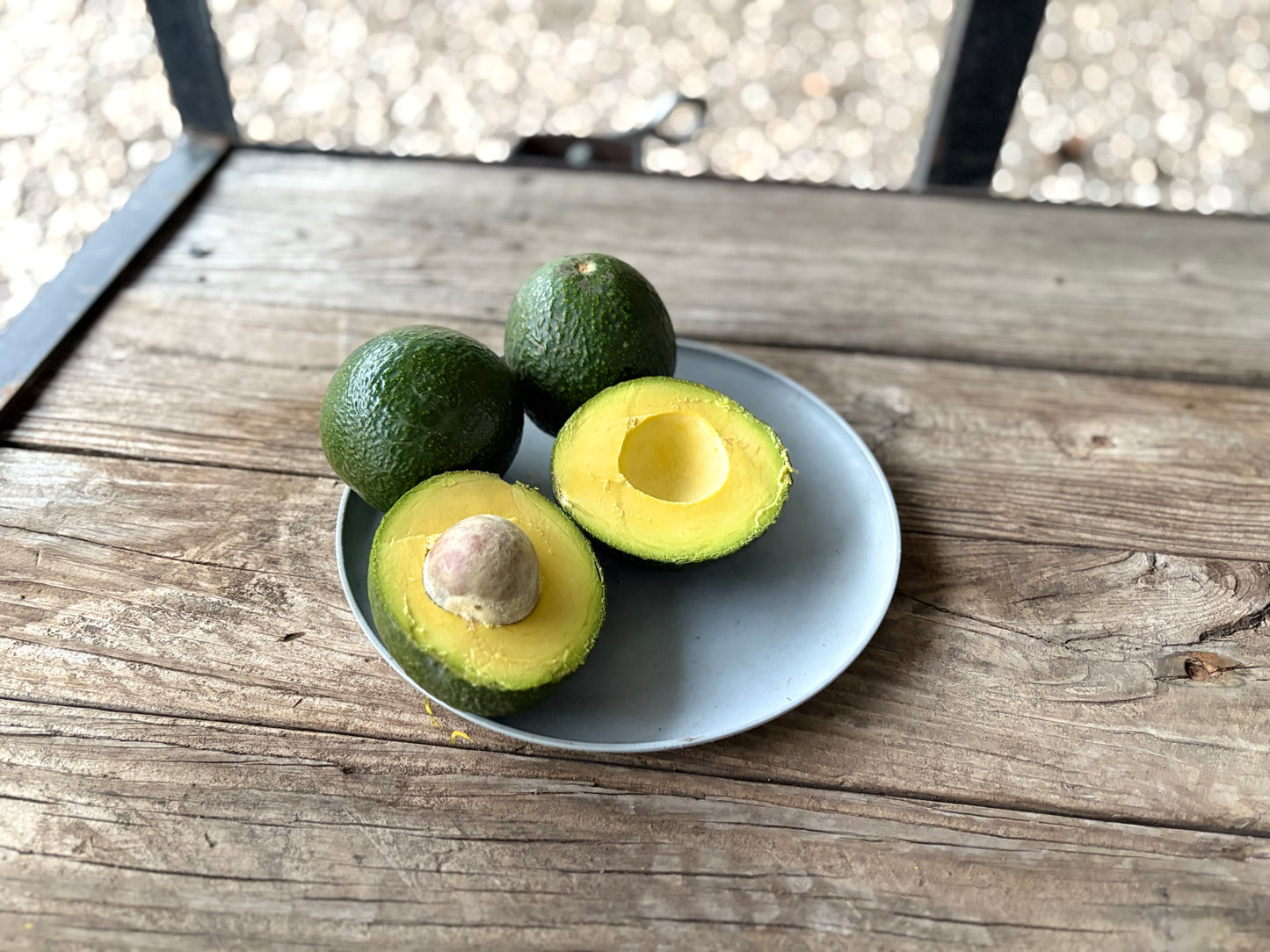 Reed Avocados
