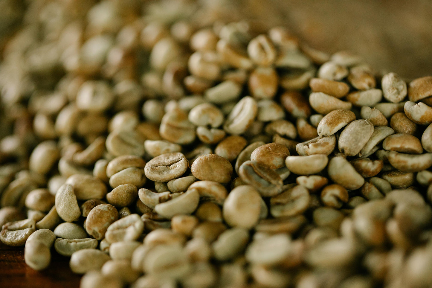 Unroasted Geisha Coffee