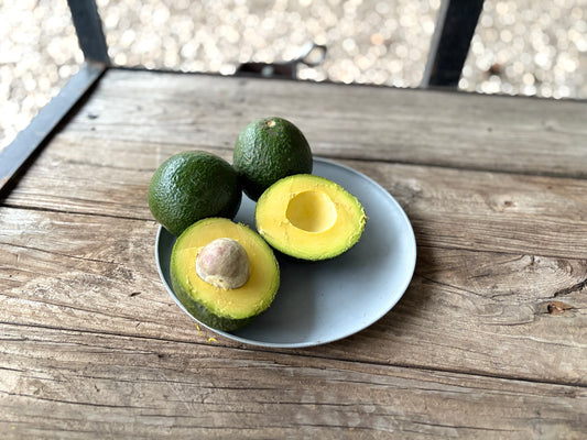 Reed Avocados